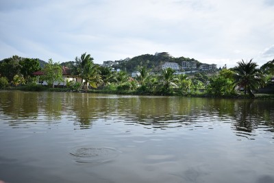 苏梅岛景观