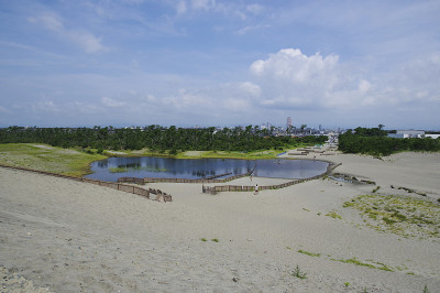 沙丘