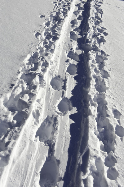 不顾他人的滑雪者在赛道上打洞