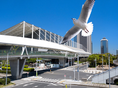 Makuhari Messe and Seagull