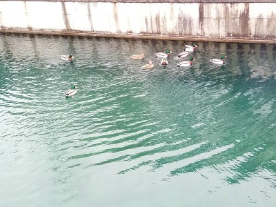 图恩湖的景色