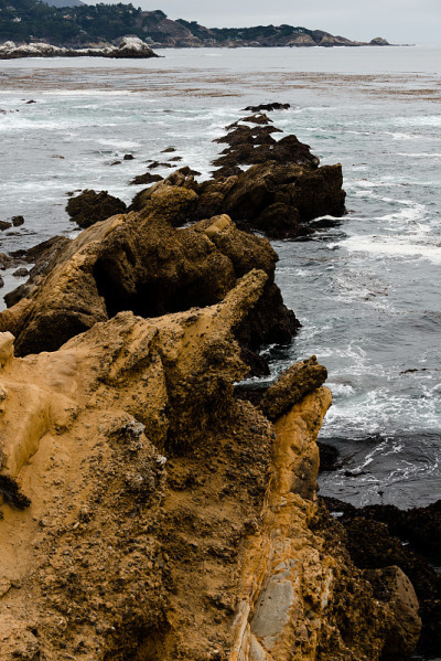 Point Lobos State Reserve