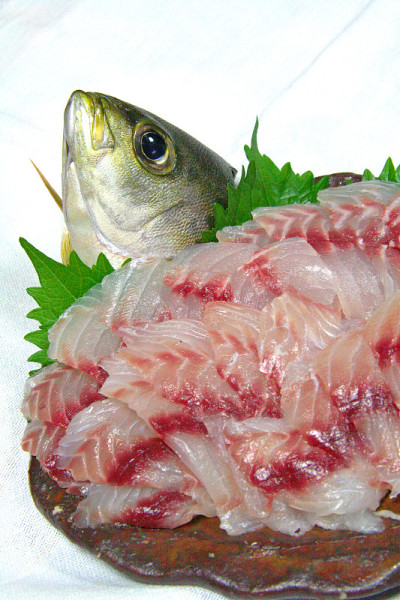 鸡肉“Isaki”是一种看起来像活的生鱼片