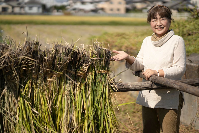 女人干米饭