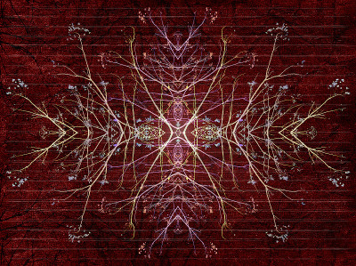 神秘符号照片拼贴