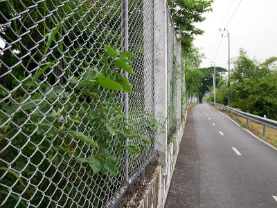泰国曼谷，侬本水上运动中心海滨的自行车道
