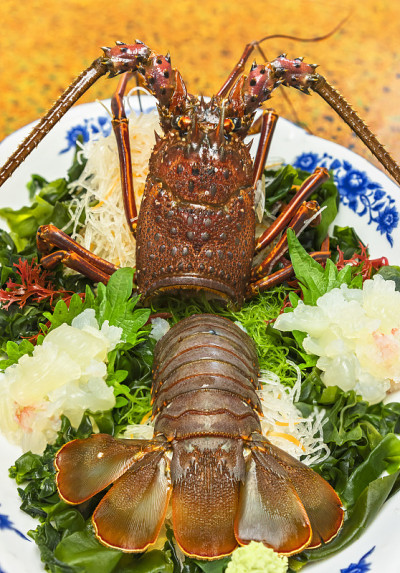 日本料理新鲜的伊势伊势龙虾和绿藻的刺身特写。
