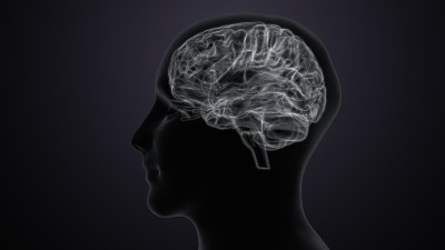 人脑交叉解剖学的三维渲染