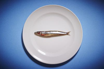 小鱼