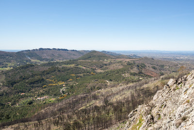 城堡景