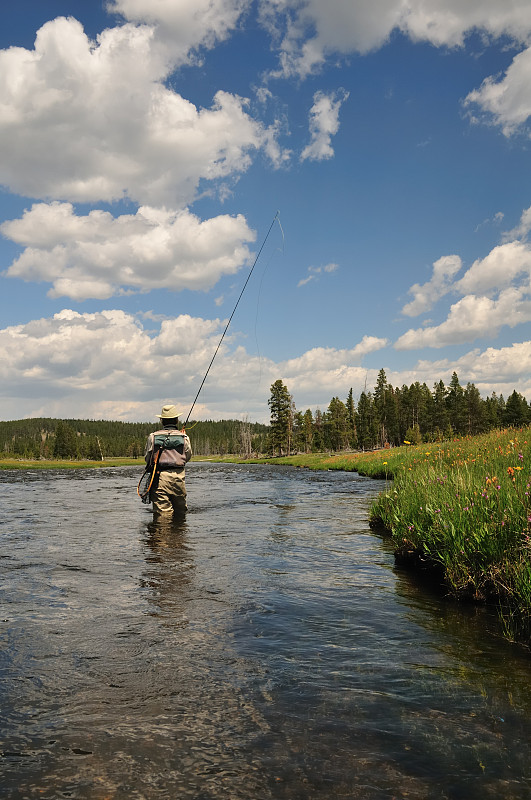 黄石flyfishing