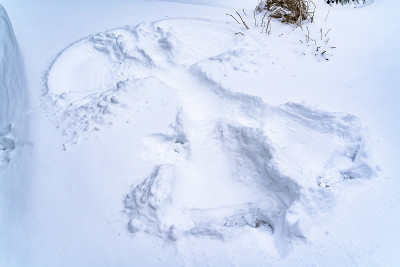 近距离的雪覆盖地面在冬天与雪天使