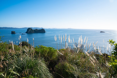 从大教堂湾的停车场看海岸