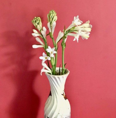 晚香玉花束插在花瓶里