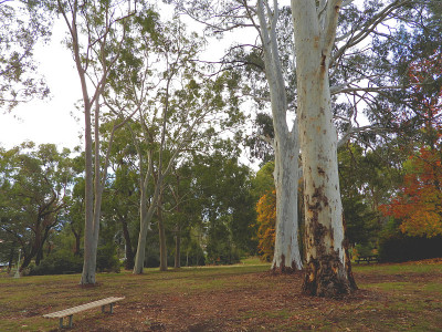 Beechworth,维多利亚,澳大利亚