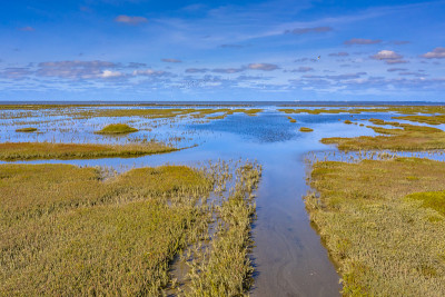 鸟瞰瓦登海海峡潮汐沼泽地