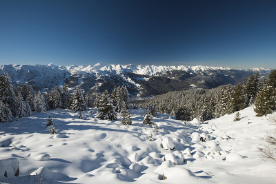 全景下的雪覆盖山谷在高山山脉与针叶松树