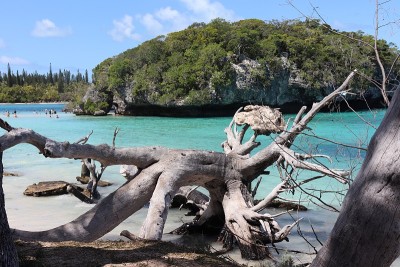 松树岛的海滩