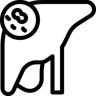 肝