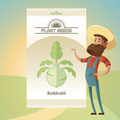 Pack of Kohlrabi seeds icon