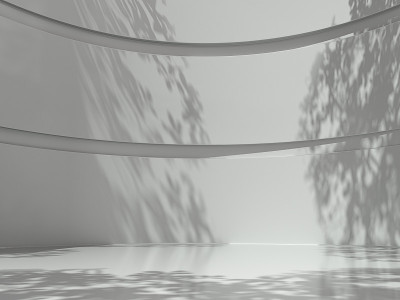 空旷的空间，设计的平台，空白的产品，空旷的房间，墙上有树影，3d渲染。