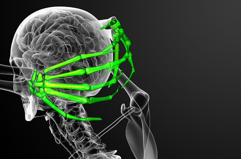 骨骼手的3d渲染图