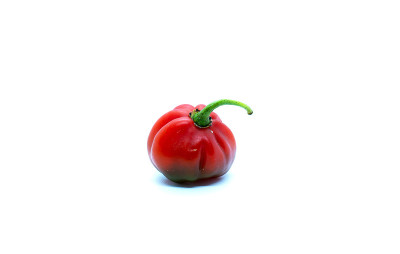 白底胡椒