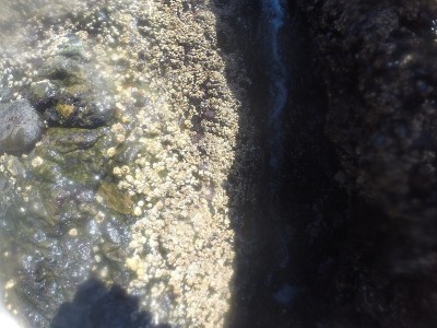 水