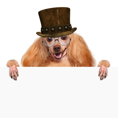 狗