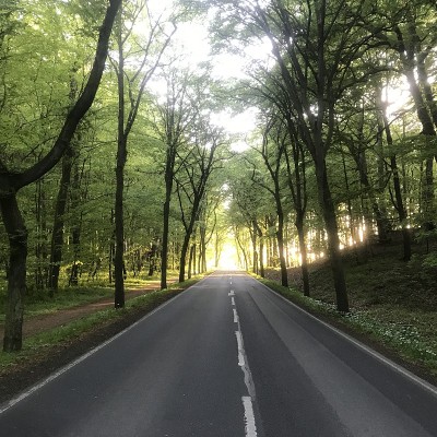 这条路