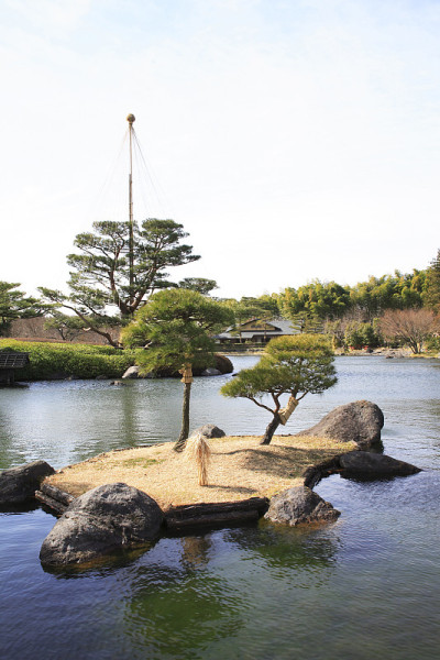 盆景