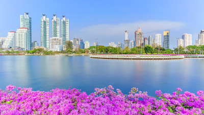 泰国曼谷的绿肺，本基提公园的城市景观