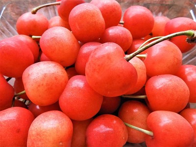 Cherry2