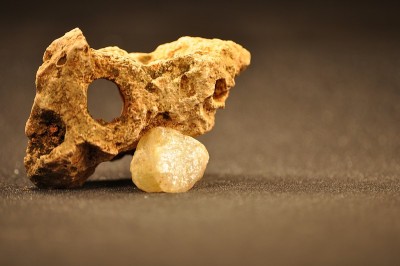 蜗牛壳照片