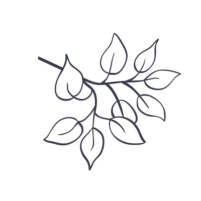 向量树树枝线花卉手绘草图