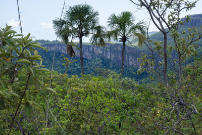 veadeiros的Chapada dos veadeiros
