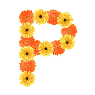 由花创造的字母P