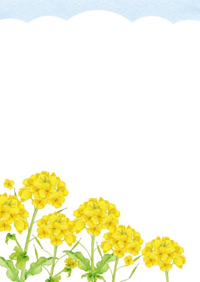 大田油菜花架