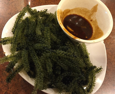 冲绳海葡萄，日本冲绳