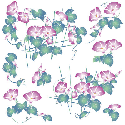 日式牵牛花
