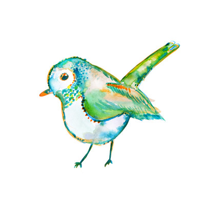 蓝色和橙色彩虹鸟幻想蓝色和橙色水彩插图
