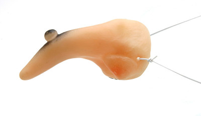 Faschingsnase女巫