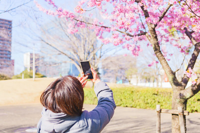 日本中年妇女在春天拍照