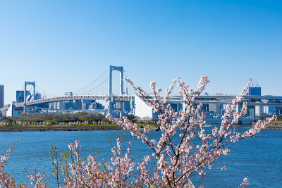 彩虹桥和东京湾美景