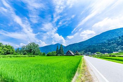 仲夏Shirakawa-go