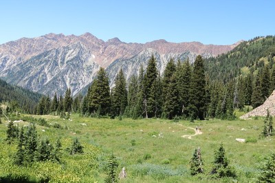 瓦萨奇山脉的徒步旅行者