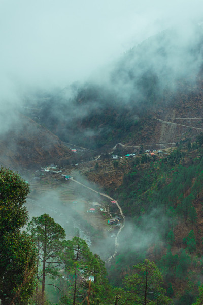 夕阳下的杉树在喜马拉雅山-美丽的曲线美的道路在山区-