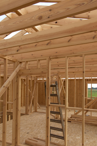 用骨架技术建造房子