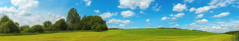 田野边缘的绿色山丘和树木的全景。