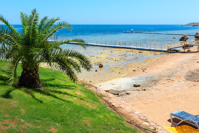 红海海滩